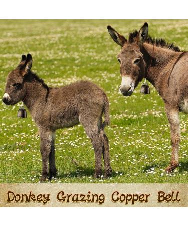 Zhengmy 16 Pcs Cow Bells Bass Bells with Spring Hooks - Loud Bronze Bell Iron Bells for Farm Animals - Noisemaker Call Bells for Craft Decor - Buy Online on GoSupps.com
