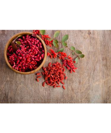6 lbs Goji Berries | Non-GMO, Sun-Dried & Juicy | High in Iron, Vitamins A & C | Vegan Fruit Snack for Baking, Tea, Smoothie & Yogurt | Bulk Pack of 1 - Buy Online on GoSupps.com