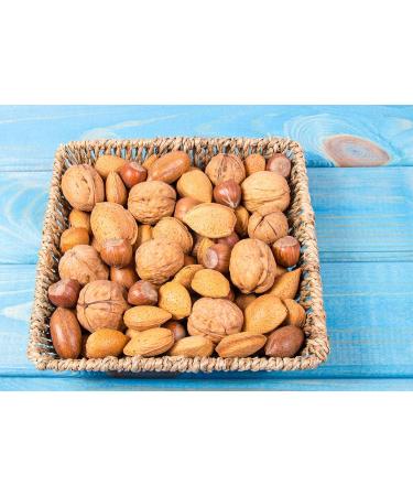 Premium Mixed Nuts in Shell 8lb Box - Walnuts, Pecans, Almonds, Hazelnuts, Brazil Nuts - 8lb Pack - Anna and Sarah - Buy Online on GoSupps.com