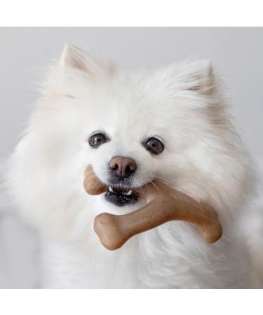 Benebone Wishbone Real Peanuts Small - Durable Dog Chew Toy for Aggressive Chewers | International Shipping Available - Buy Online on GoSupps.com