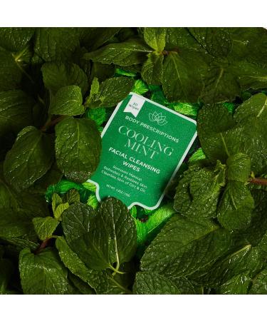 Body Prescriptions Makeup Remover Wipes 5-Pack - 150 Facial Cleansing Cloths, Removes Makeup, Mascara, Dirt, Oil - Mint, Rosehip, Vitamin C, Lavender, Coconut - Buy Online on GoSupps.com