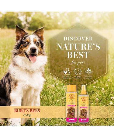 Burt's Bees 2-in-1 Dog Shampoo & Conditioner with Papaya & Awapuhi | Deodorizing Spray | Dog Bathing Supplies - 8 oz - Buy Online on GoSupps.com