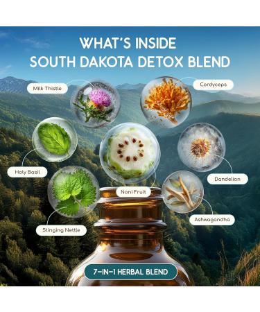 HerbEra South Dakota Herbal Detox Blend - USDA Organic Extract Made in USA | Immune & Liver Support Liquid Drops | Dandelion Root Milk Thistle Noni Chaparral Cordyceps | 2 fl oz - Buy Online on GoSupps.com