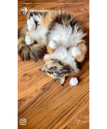 Premium Quality Real Canadian Mint - Dried Catnip Flowers & Leaves (30g) for Cat Toys & Crafts - Buy Online on GoSupps.com
