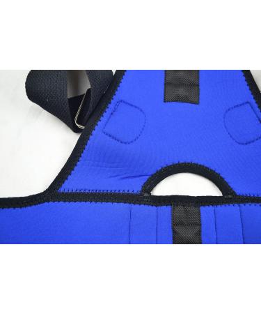 Body-Plus Direct Magnetic Posture Corrector Back Support XL Blue - Improve Posture and Relieve Pain - Buy Online on GoSupps.com