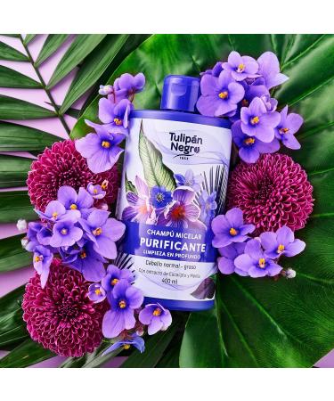 TULIPAN NEGRO Purifying Micellar Shampoo with Mint & Eucalyptus | 13.5 Fl Oz | International Shipping Available - Buy Online on GoSupps.com