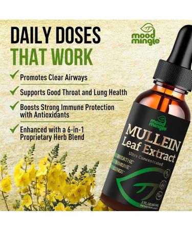 Mullein Leaf Extract for Lungs - Mullein Drops for Respiratory Health Support Lung Detox Cleanse - Vegan Sugar-Free Gluten Free - Liquid Supplement for Men Women 2fl. oz (60ml) 2 Fl Oz (Pack of 1) - Buy Online on GoSupps.com