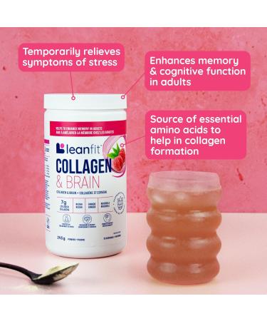 LEANFIT COLLAGEN & BRAIN Raspberry - 7g Collagen + Reishi + Ginkgo + Rhodiola - Enhances Memory & Cognitive Function in Adults - 25 Servings 245g tub - Buy Online on GoSupps.com