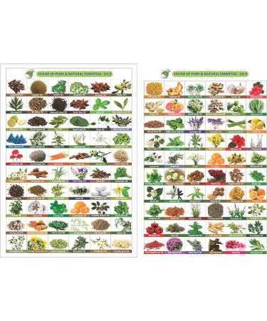 100% Pure Prickly Pear Seed Oil - Natural Carrier Oil for Radiant Skin | International Shipping - Buy Online on GoSupps.com