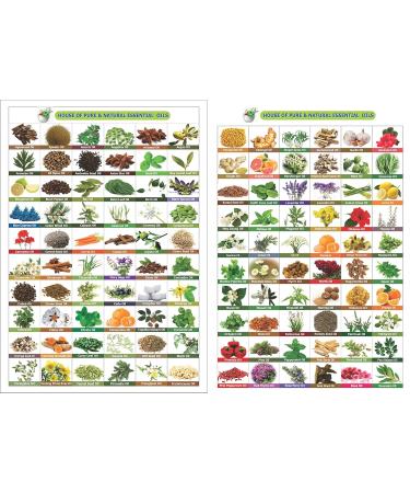 100% Pure Salvia Bhringraj Oil - Undiluted Cold Pressed - Therapeutic Grade Aromatherapy & Skin Care Oil (3.38 Fl Oz - Buy Online on GoSupps.com