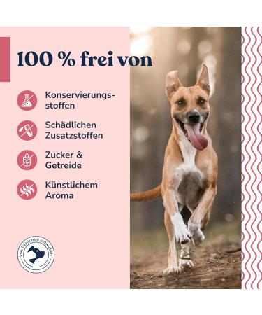 Felmo Probiotic Powder for Dogs (250g) - Supports Digestive Health & Immune System - Grain & Sugar-Free - Buy Online on GoSupps.com