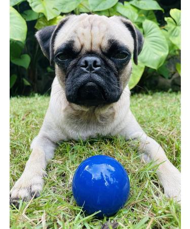 Tuff Pup Superchewy Tough Ball Toys for Dogs | Durable Natural Rubber | Best for Large Breeds | Ultra-Durable 2-Inch & 5-CM Options - Buy Online on GoSupps.com