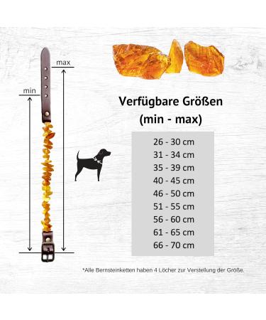 Chronobalance Amber Dog Collar | Real Amber Chain with Leather Closure | Adjustable & Eco-Friendly | Sizes for Small & Large Dogs (40-45cm) - Buy Online on GoSupps.com