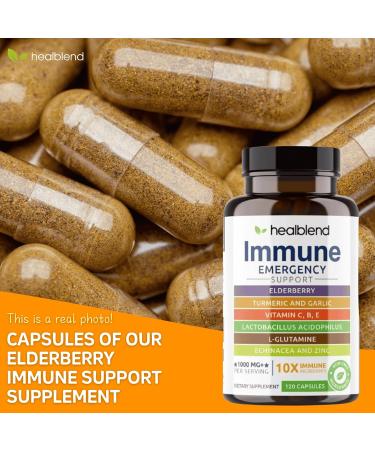 healblend Neuro Plus & Immune Support Bundle Brain Boost Nootropic for Focus Energy Memory & Clarity Elderberry Zinc Vitamin C Turmeric Probiotics 2 Pack 120 Capsules Each - Buy Online on GoSupps.com
