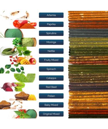 Gioia Shrimp - Gioia Shrimp - Pack of 12 Catappa lollies - Buy Online on GoSupps.com