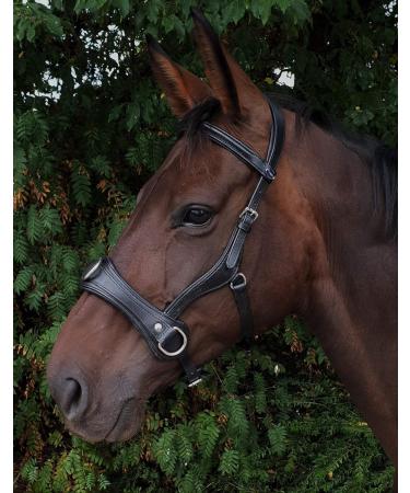 Natan Leather Cavesson for Coldbloods | Ergonomic Eye Clearance | VB WB X Full | Tysons Runs Large (XXF) - Buy Online on GoSupps.com