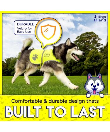 4Legriend Yellow Reflective Safety Vest for Dogs - 2 Pack Small | Keep Your Dog Visible & Safe from Cars & Hunting Accidents - Buy Online on GoSupps.com