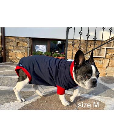 Dog Surgical Bodysuit - Wound Protection Suit for Dogs | Medical Recovery Shirt (S Blue) - Buy Online on GoSupps.com
