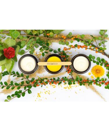 Sylveco Birch Cream 50ml - Nourishing Natural Moisturizer for All Skin Types | Shop Internationally - Buy Online on GoSupps.com