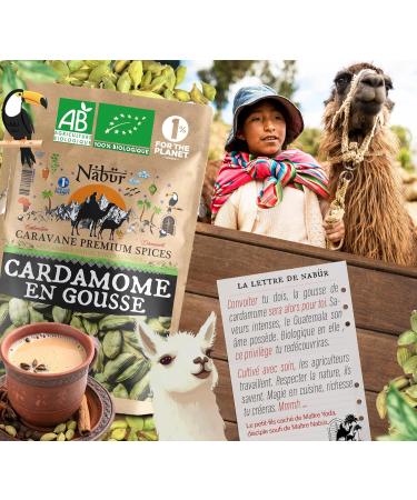 100 gr Cardamome en Gousse BIO Cardamome Enti re Puissant Riche Caf Chai Masala - NAB R - Buy Online on GoSupps.com