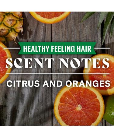 Old Spice Healthy Feeling Hair Shampoo for Men 650 mL Shampoo Healthy Feeling Hair - Buy Online on GoSupps.com