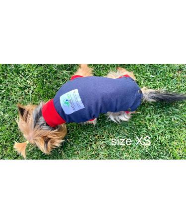 XS Blue Dog Surgical Bodysuit | Wound Protection & Recovery Suit for Dogs | Medical Pet Shirt - Buy Online on GoSupps.com