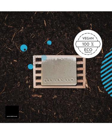 Natural Fixed Shower Gel & Soap for Men & Women | Black Tea & Coffee Peeling | Dead Sea Mud & Salt - Rejuvenating Body Soap - Buy Online on GoSupps.com