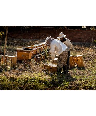Organic Raw Forest Honey 1000g | Pure Unheated Natural Beekeeping with Pollen & Beeswax - International Shipping Available - Buy Online on GoSupps.com