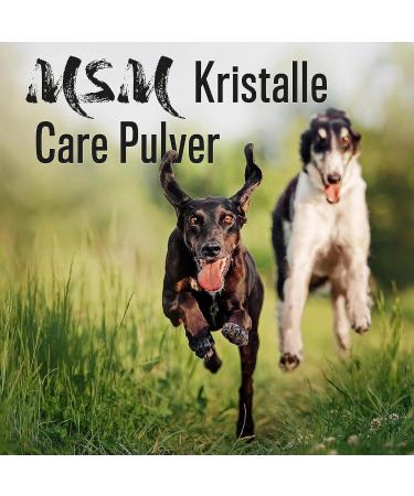 alphazoo MSM Sulfur Powder for Dogs Cats and Rodents 250 g I Natural Joint Powder without Additives I Mesh Factor 40-80 I Ensures More Agility - Buy Online on GoSupps.com