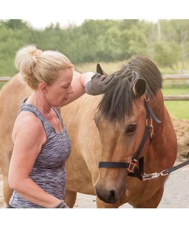 Pure Lab Vitamins Equine Magnesium Glycinate Powder - 454 g Made in Canada - Buy Online on GoSupps.com