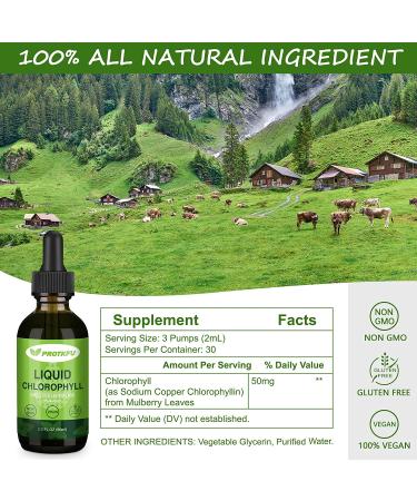 Chlorophyll Liquid Drops - 2 Pack for Energy Boost & Immune Support | Natural Detox & Internal Deodorant - Buy Online on GoSupps.com