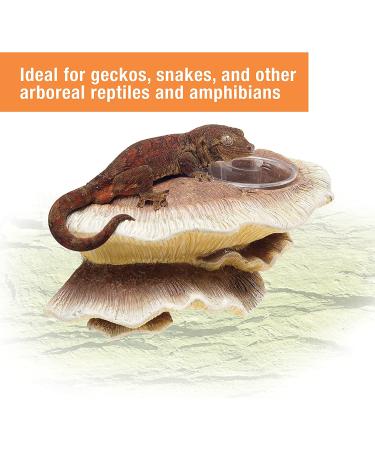 Zilla Vertical Mushroom Feeding Ledge - Durable and Easy-to-Install - Buy Online on GoSupps.com