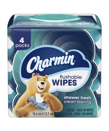 Charmin Flushable Wipes, 4 packs, 40 Wipes Per Pack, 160 Total Wipes 40 Count (Pack of 4)