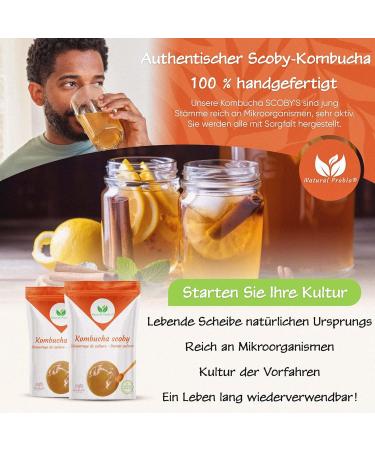Natural Probio Original Kombucha Scoby - Culture Starter Kit | Authentic Kombucha Mother + Instructions Recipe Tips & Free E-Book - Buy Online on GoSupps.com