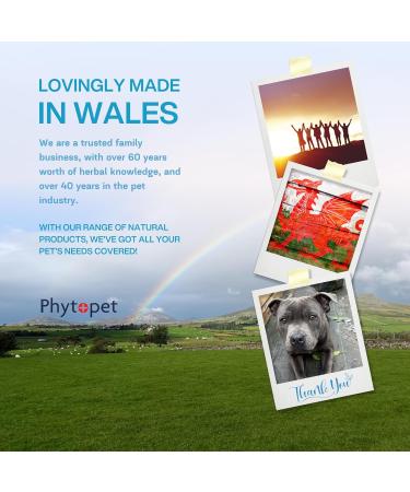 Phytopet TartarX | XL 300g | 100% Natural Herbal Remedy | Tartar Control Breath Freshener and Plaque Removal | For Dogs Cats & Horses 300 g (Pack of 1) - Buy Online on GoSupps.com