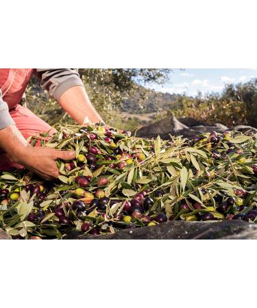 Olive Oil 5 Litre Metal Canister - Buy Online on GoSupps.com