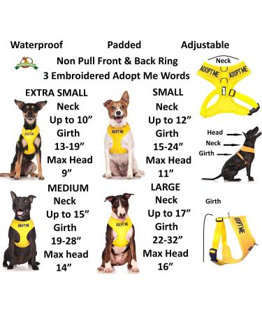 Dexil Limited Yellow Color Coded Non-Pull Dog Harness - XS 13-19 Inch Chest/Girth - Buy Online on GoSupps.com