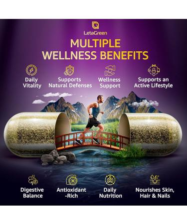 LetaGreen Sea Moss and Lion s Mane Bundle Wild Sea Moss Capsules and Lions Mane Supplement Capsules Mind Balance & Daily Wellness 240 Count Plant-Based Supplement - Buy Online on GoSupps.com