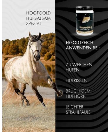 HOOFGOLD Hoof Balm - Ultimate Hoof Care for Horses - 980ml & 1000ml - Strengthen Hoof Cracks & Dry Hooves - Buy Online on GoSupps.com