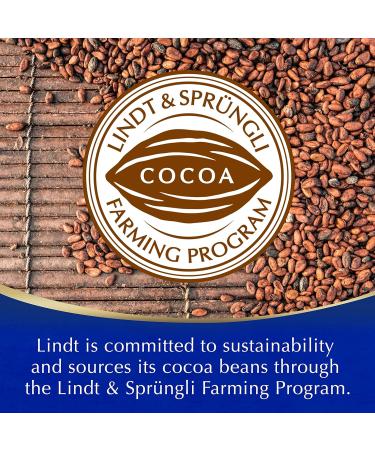 Lindt Hot Chocolate 300g: Premium Single Serve Indulgence - Buy Online on GoSupps.com