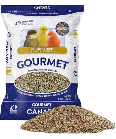 Hagen B2380 Canary Gourmet Mix 1kg 2.2-Pound - Buy Online on GoSupps.com
