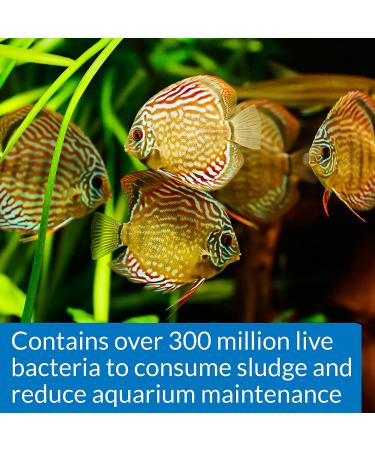 API Stress Zyme Bacterial Cleaner 16 oz - Freshwater & Saltwater Aquarium Water Cleaning Solution - Buy Online on GoSupps.com