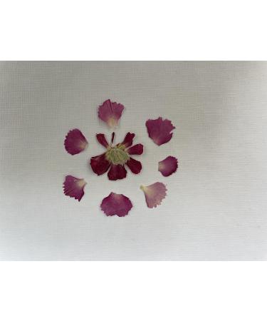 Edible Flower Petals for cocktails and cakes baking celebrations weddings (Pink) - Buy Online on GoSupps.com