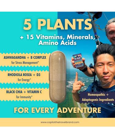 Co-Pilot All-in-1 Travel Supplement | Jet Lag & Immune Support | Energy Blend with Ashwagandha & Rhodiola | Airplane Travel Essentials | 60 Vegan & Gluten Free Capsules - Buy Online on GoSupps.com