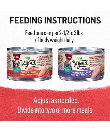 Purina Beyond Grain-Free Natural Adult Wet Cat Food Variety Pack - 24 Count - Buy Online on GoSupps.com