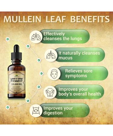 HERBALICIOUS Mullein Drops for Lungs Organic Lung Cleanse Supplement with Mullein Leaf Extract (Verbascum Thapsus) Vegan Non-GMO Liquid Formula 4 Fl Oz - Buy Online on GoSupps.com