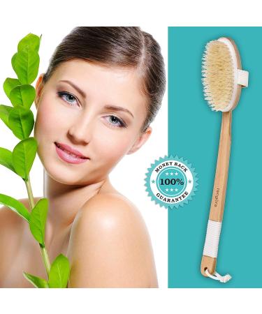 Reng ra Long Handled Curved Wooden Back Scrubber for Shower | Bath Brush for Men and Women with Bonus Mesh Scrubber - Buy Online on GoSupps.com