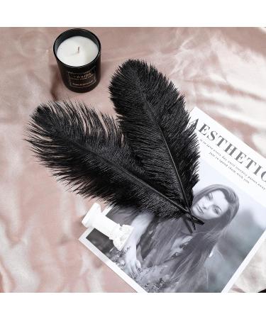Soarer Black Ostrich Feathers Bulk - 30pcs 8-10 inch for Wedding Party Centerpieces & Home Decor - DIY Crafts (Black) - Buy Online on GoSupps.com