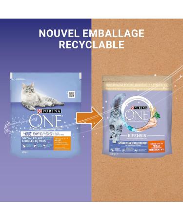 PURINA ONE Bifensis Coat & Hair Balls Chicken & Whole Grain Dry for Adult Cats Meal Bags 450g | Pack of 10 - Buy Online on GoSupps.com