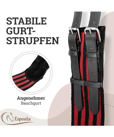 Esposita Riding Strap with Leather Handles - Versatile Lunging & Vaulting Belt for Kids & Riders - Shetty Red-Black - Buy Online on GoSupps.com